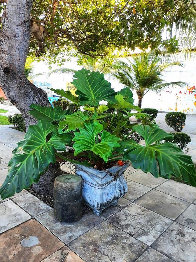 Torre Do Sol Park Hotel Chapadinha エクステリア 写真